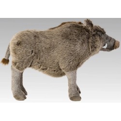 Peluche Sanglier géant - 82cm