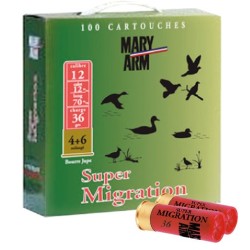 Migration 36-armurerie-steflo