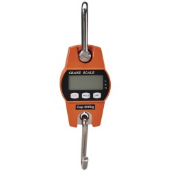 Peson électronique 300kg